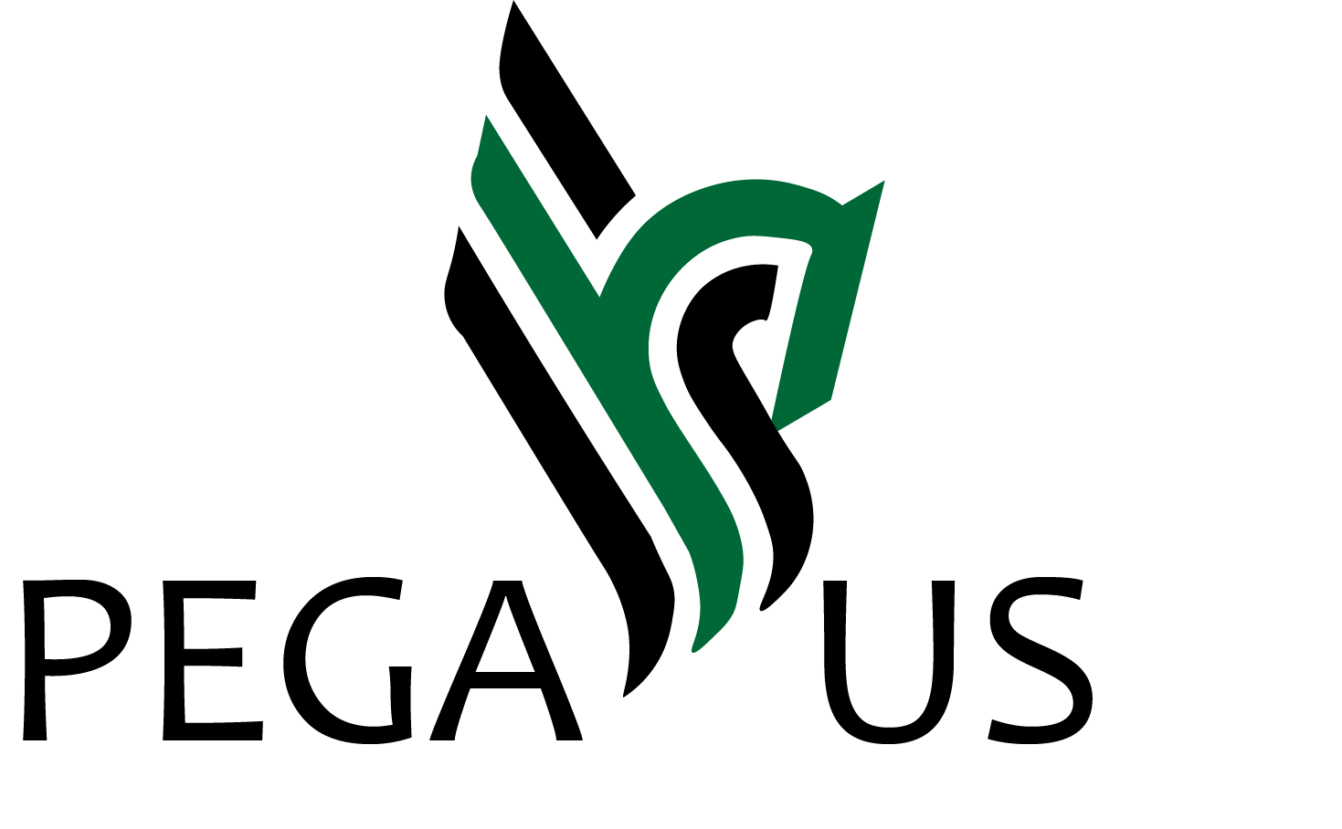 Pegasus Services Logo